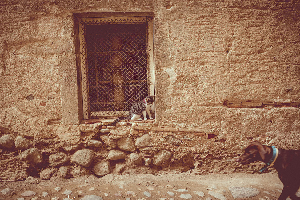 Cassufotograf,bodas064