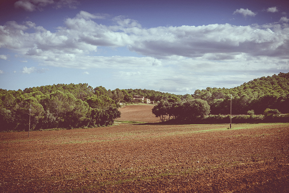 Cassufotograf,bodas073