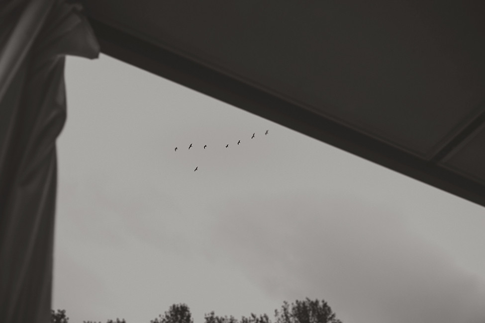 cassufotograf066