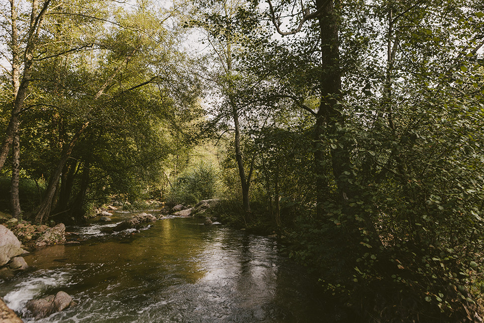 Cassú fotografia 003