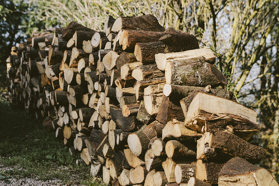 Cassú fotografia 007