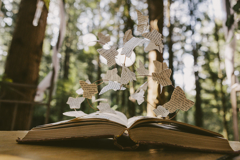 Cassú fotografia 089