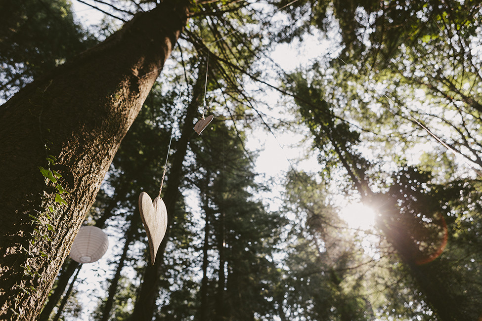 Cassú fotografia 091