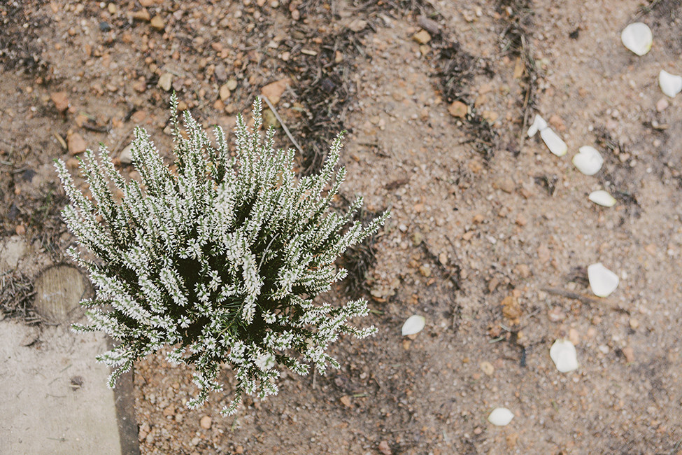 Cassú fotografia 117