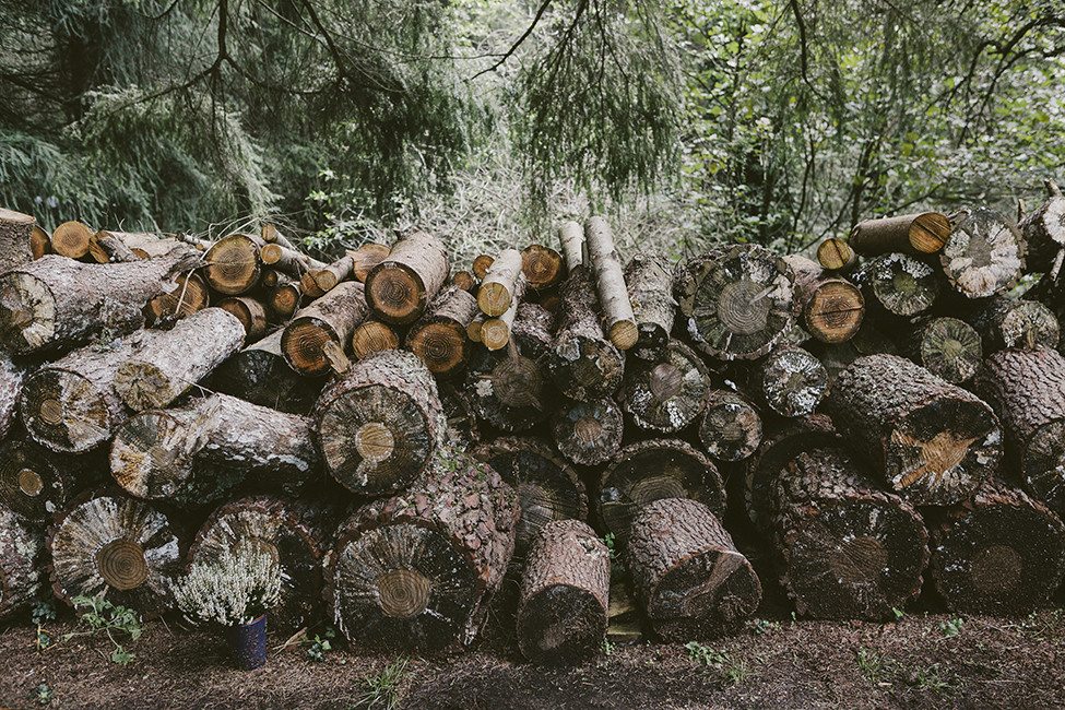 Cassú fotografia 146