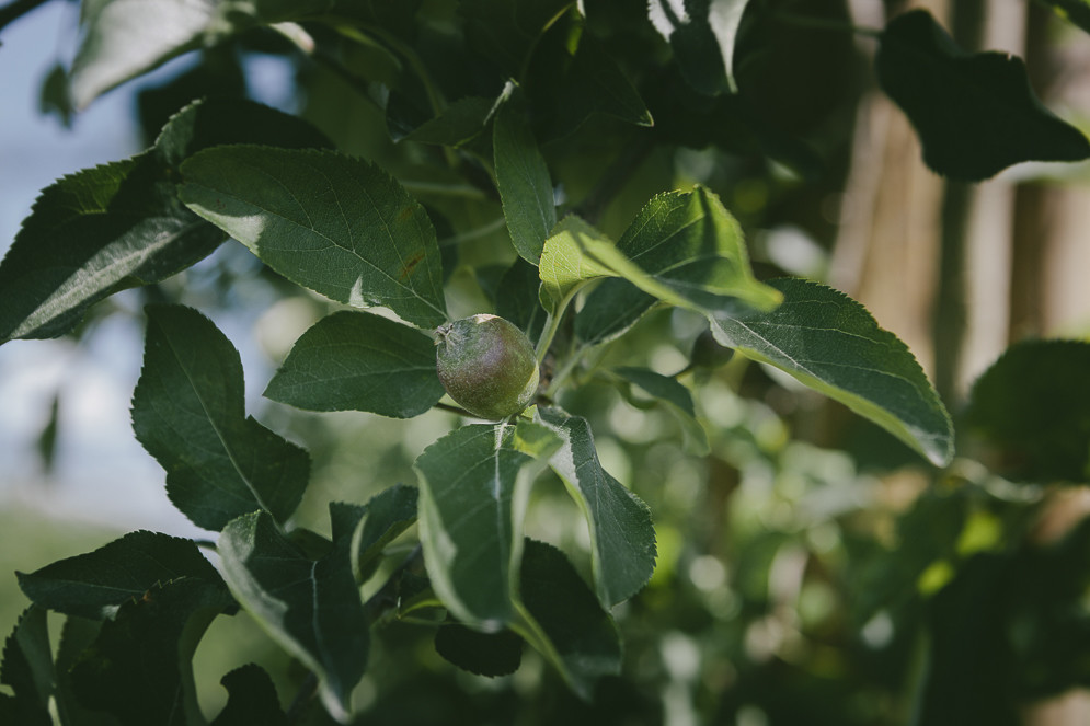 038 Preboda Cassu Fotograf