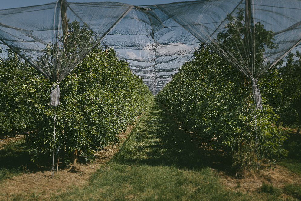 041 Preboda Cassu Fotograf