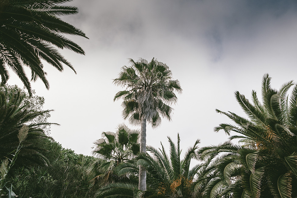 27Cassu fotograf 2156