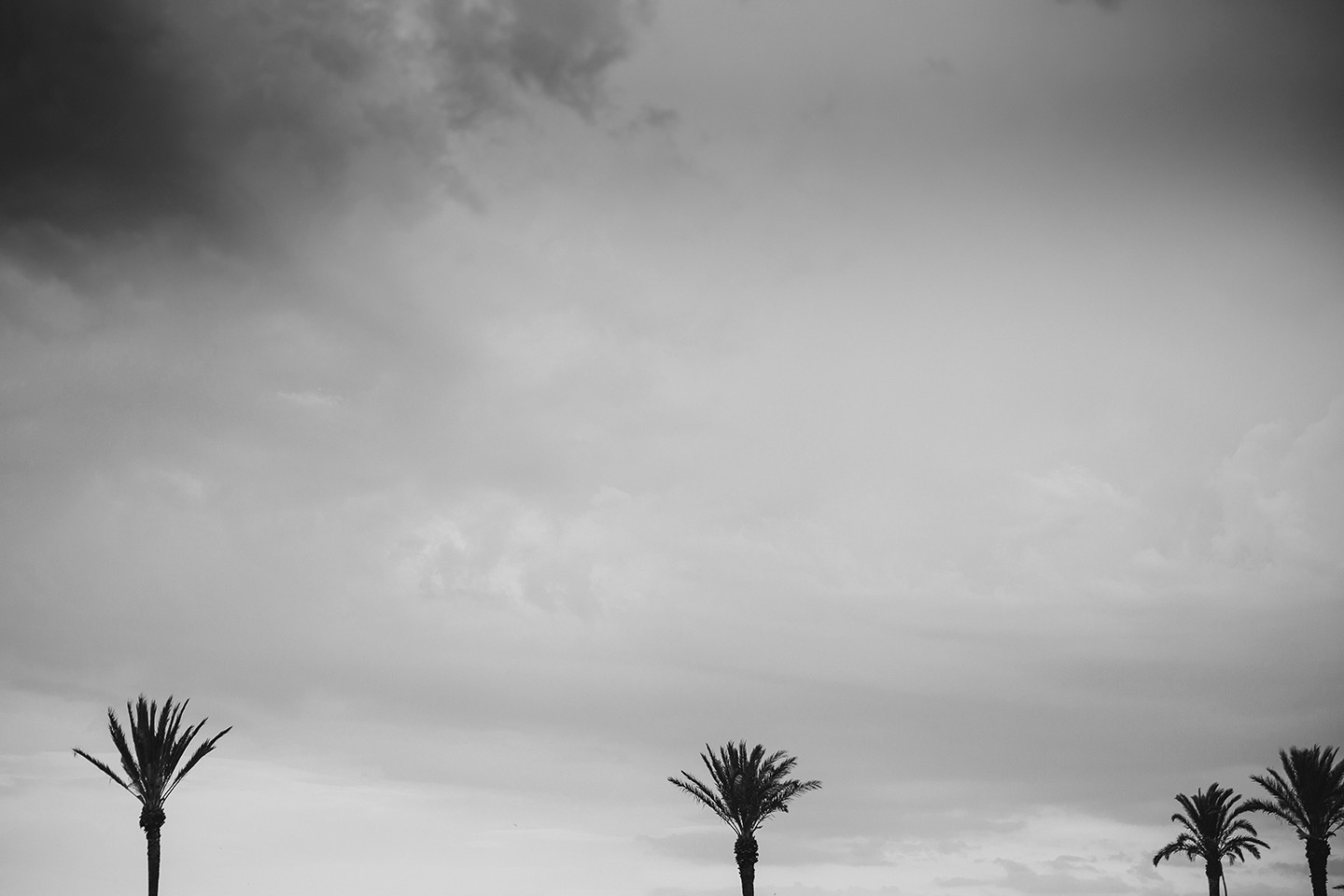 Cassu fotograf 0018-2